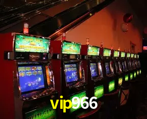 Experiência VIP vip966